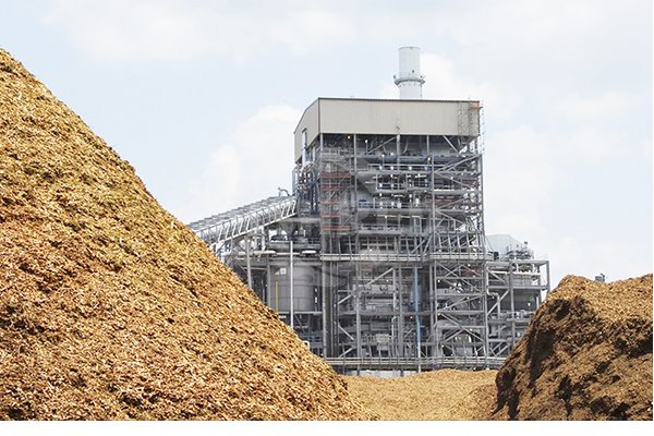 Queima/Cofiring de Biomassa para Aquecimento e Energia